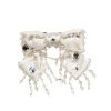 Tutu du Monde Crystal Dream Hair Clip Milk Online